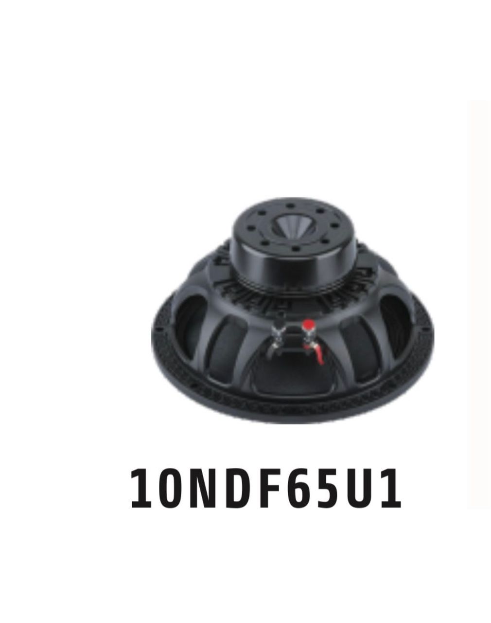 10″ Neodymium Speaker (10NDF65U1)