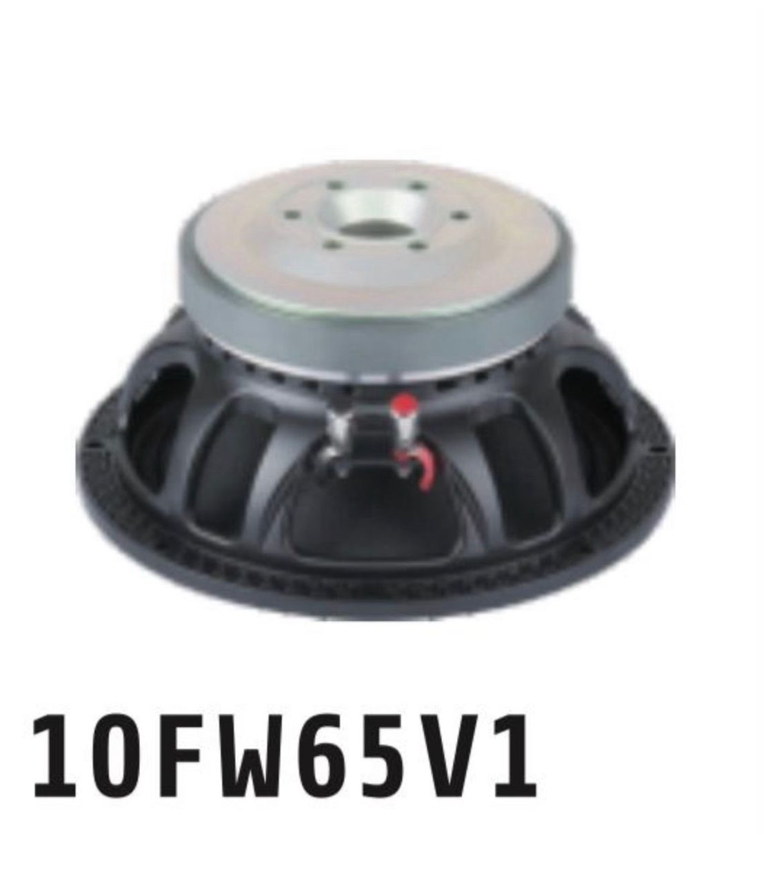 10″ Ferrite Speaker (10FW65V1)