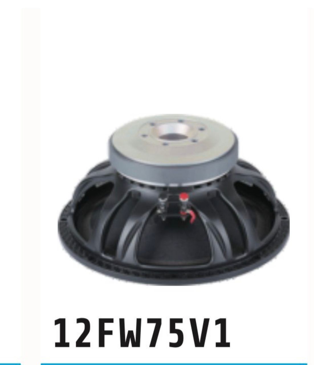 12″ Ferrite Speaker (12FW75V1)
