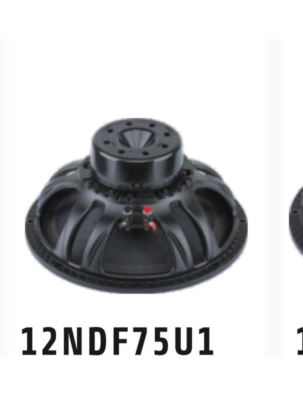 12″ Neodymium Speaker (12NDF75U1)