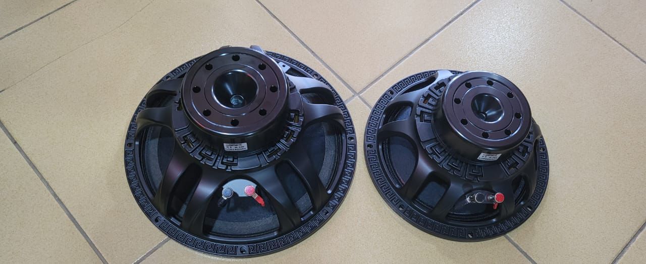 12″ Ferrite Woofer (Versace basket)